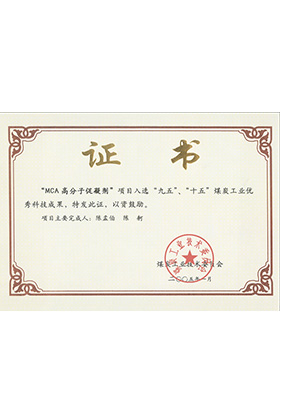 2005年1月MCA高分子促凝劑獲“九五、十五”科技成果獎